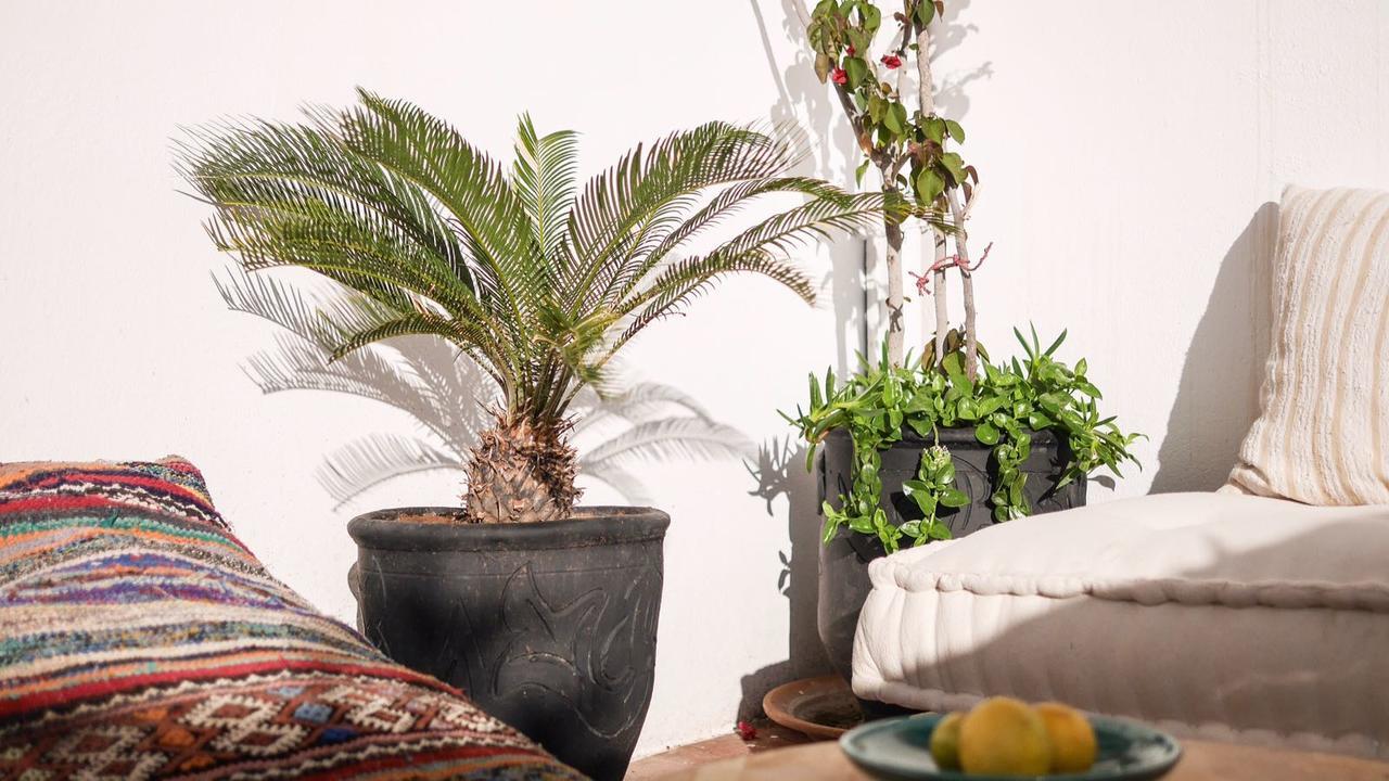 Boho 27 Hostel Marrakech Marakéš Exteriér fotografie